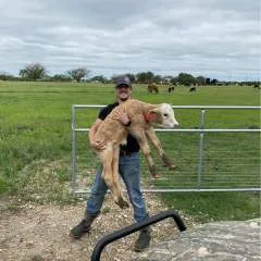 Maurice photo on Jungo Live