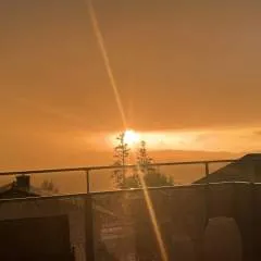 Louis photo on Jungo Live