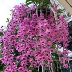 Sweet_trouble photo on Jungo Live