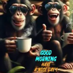 Edwin photo on Jungo Live