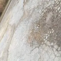 Jack photo on Jungo Live