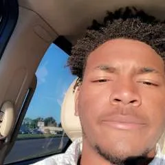 Lion.... photo on Jungo Live