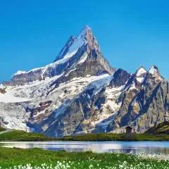 Amar photo on Jungo Live