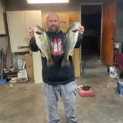 Drea photo on Jungo Live