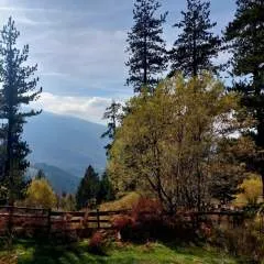 Hernandez photo on Jungo Live