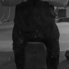 Vikashsingh photo on Jungo Live