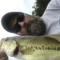 John photo on Jungo Live