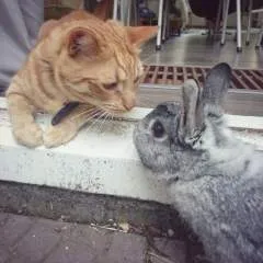 Eliza Marry photo on Jungo Live