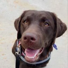 Eliza Marry photo on Jungo Live