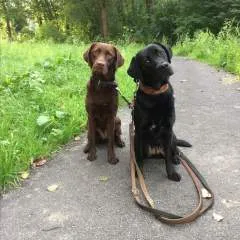 Eliza Marry photo on Jungo Live