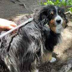 Eliza Marry photo on Jungo Live