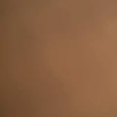 Belfastcoup.... photo on Jungo Live