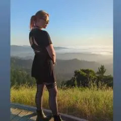 Mayfly photo on Jungo Live