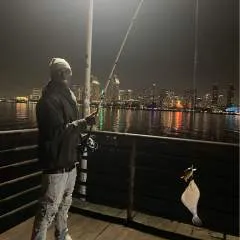 Mont photo on Jungo Live