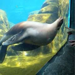 Slave4women photo on Jungo Live