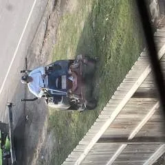 Cm2papa photo on Jungo Live