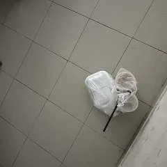 Oji photo on Jungo Live