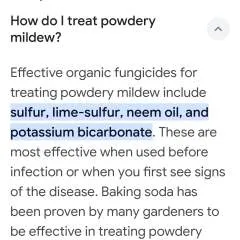 George photo on Jungo Live