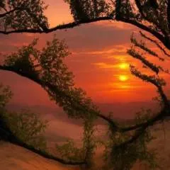 Eusuntnick photo on Jungo Live