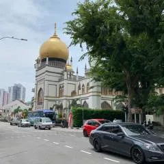 Jammie photo on Jungo Live