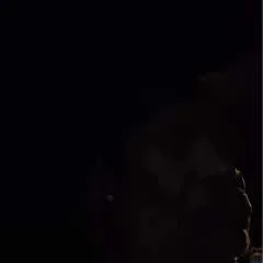 Champ........ photo on Jungo Live