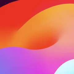 Javi photo on Jungo Live