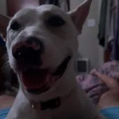 Adrian photo on Jungo Live