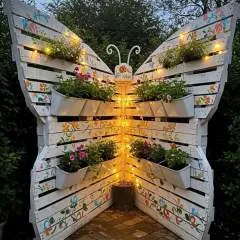 Ally photo on Jungo Live