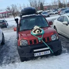 Komarro photo on Jungo Live