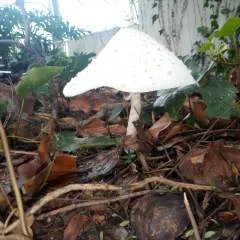 Jhm69 photo on Jungo Live