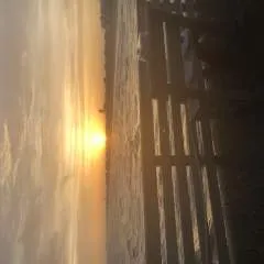 Snuggles photo on Jungo Live