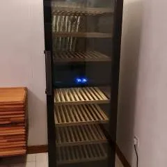 Yasir photo on Jungo Live