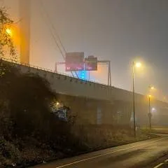 Frannie photo on Jungo Live