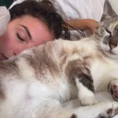 Normaluis photo on Jungo Live