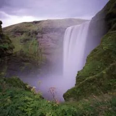 Tazucu_...._04 photo on Jungo Live