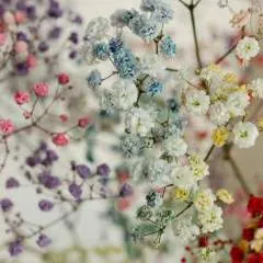 Mannybella photo on Jungo Live