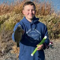 Sterling photo on Jungo Live