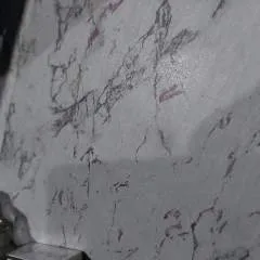 Adul photo on Jungo Live