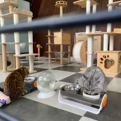 Fun_s photo on Jungo Live