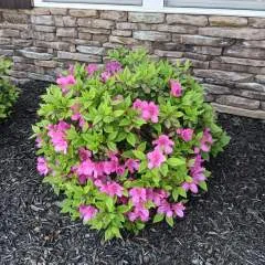 Yurigaga photo on Jungo Live