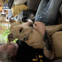 Billy photo on Jungo Live