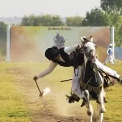 Blue.... photo on Jungo Live