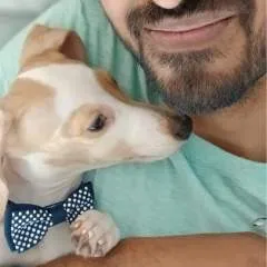 Pm photo on Jungo Live