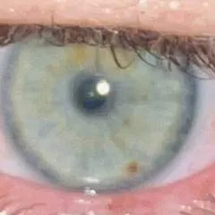 Hagartheterror photo on Jungo Live