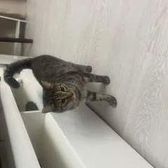 A&j photo on Jungo Live