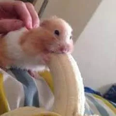 Александр photo on Jungo Live