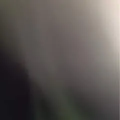 Denial photo on Jungo Live