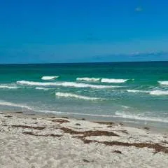 Alura B photo on Jungo Live