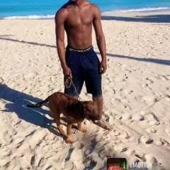 Him photo on Jungo Live