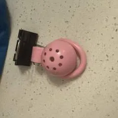 Sunnyside photo on Jungo Live